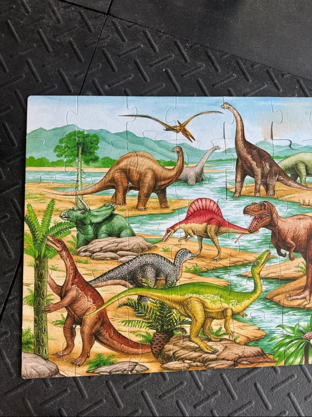 Melissa & Doug includes all